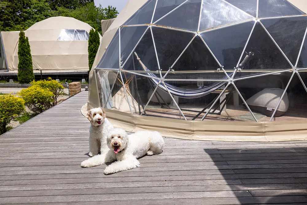 那須ハミルの森