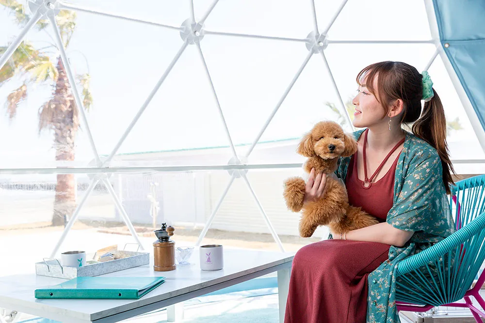 シュガービーチ大洗