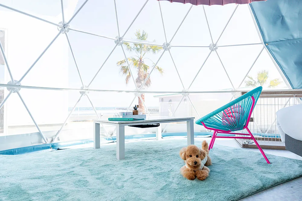 シュガービーチ大洗