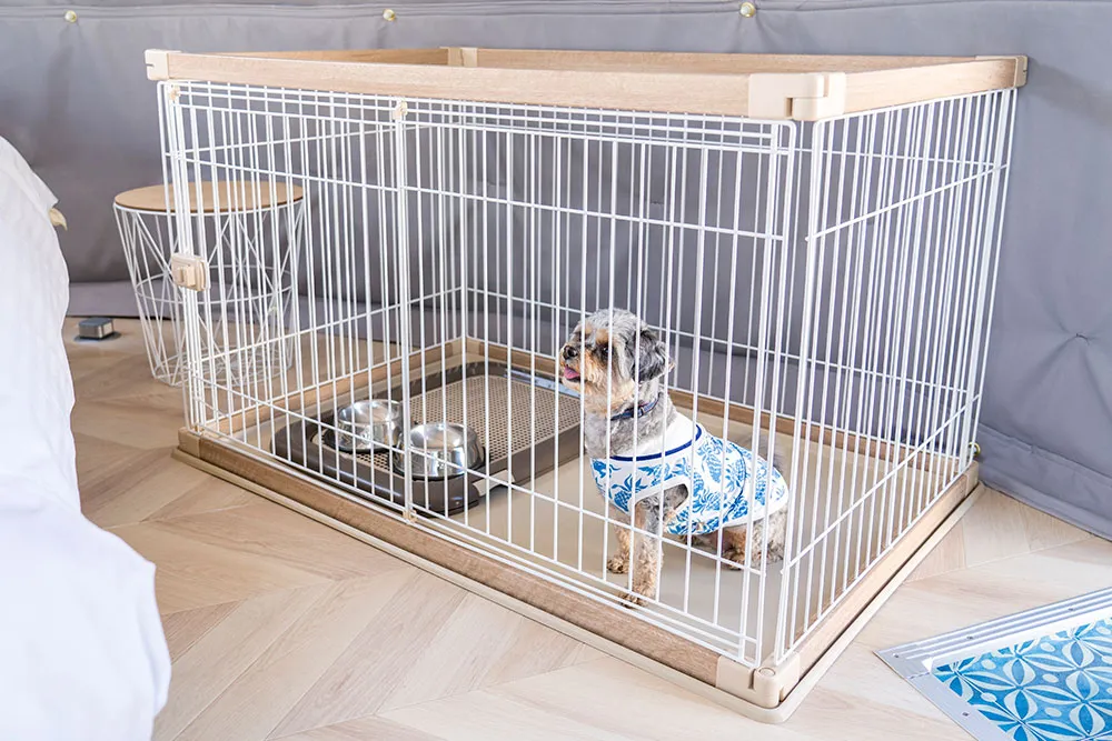 高滝湖グランピングリゾート